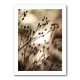Autumn Lights Wall Art Autumn Lights Wall Art