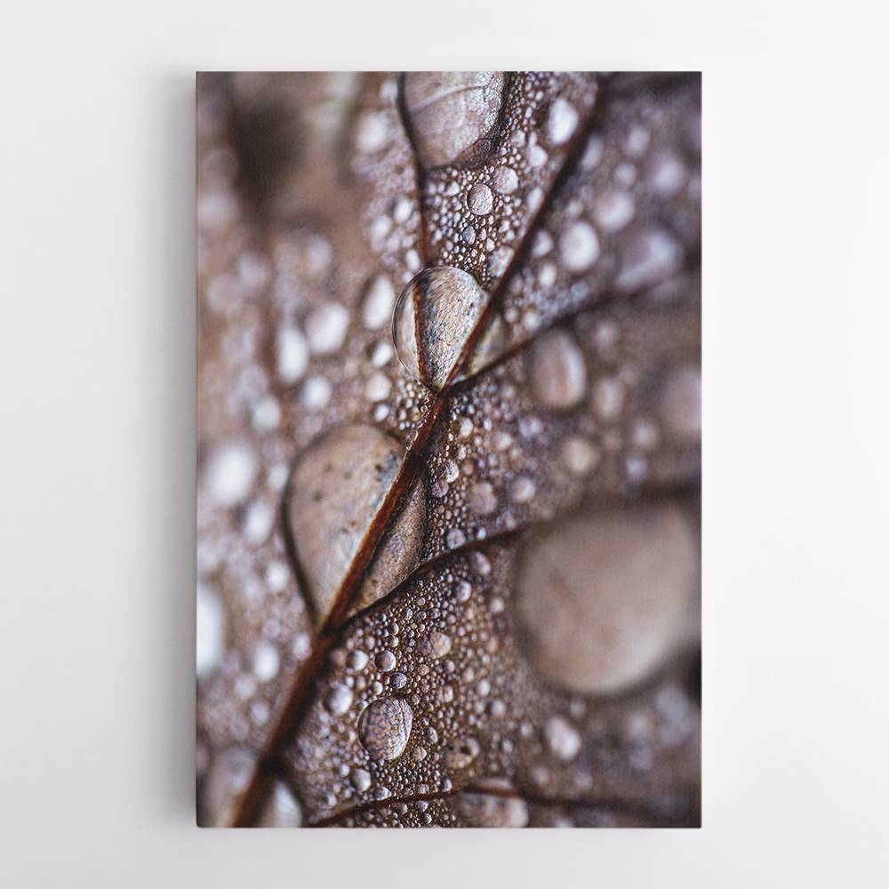 Autumn Rain Wall Art Autumn Rain Wall Art
