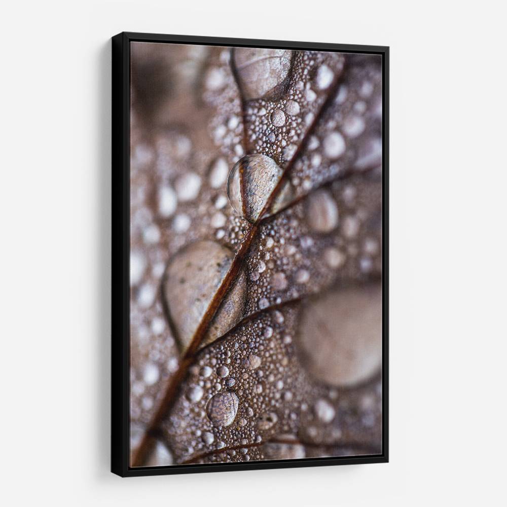 Autumn Rain Wall Art Autumn Rain Wall Art