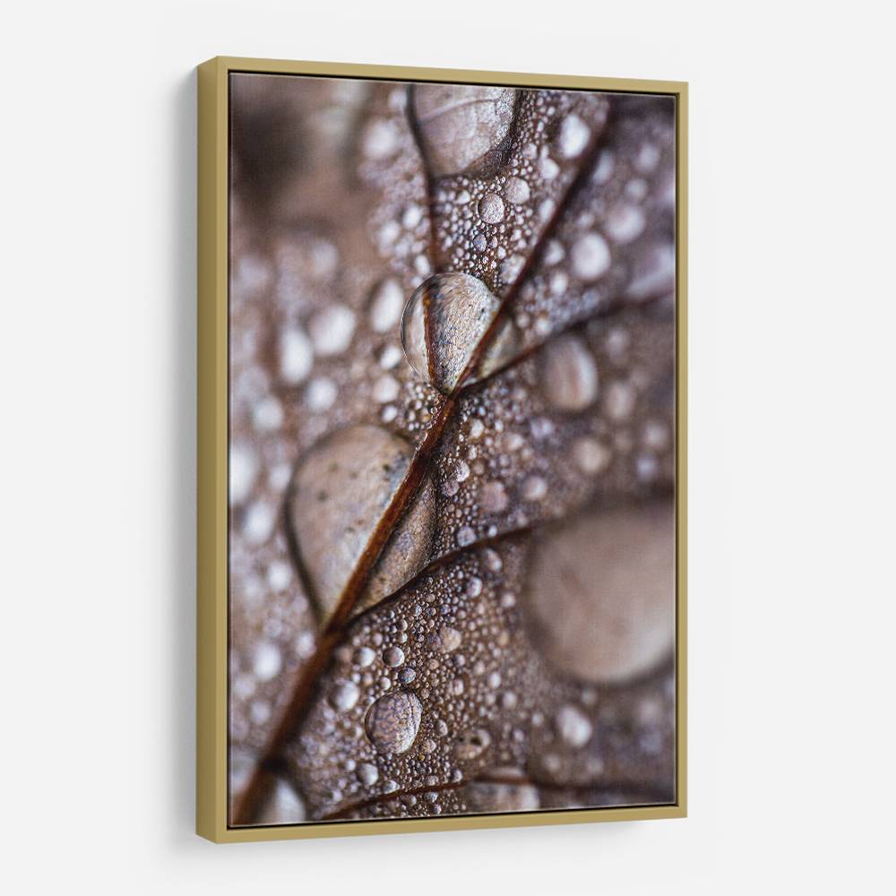 Autumn Rain Wall Art Autumn Rain Wall Art