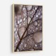 Autumn Rain Wall Art Autumn Rain Wall Art