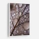 Autumn Rain Wall Art Autumn Rain Wall Art