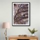 Autumn Rain Wall Art Autumn Rain Wall Art