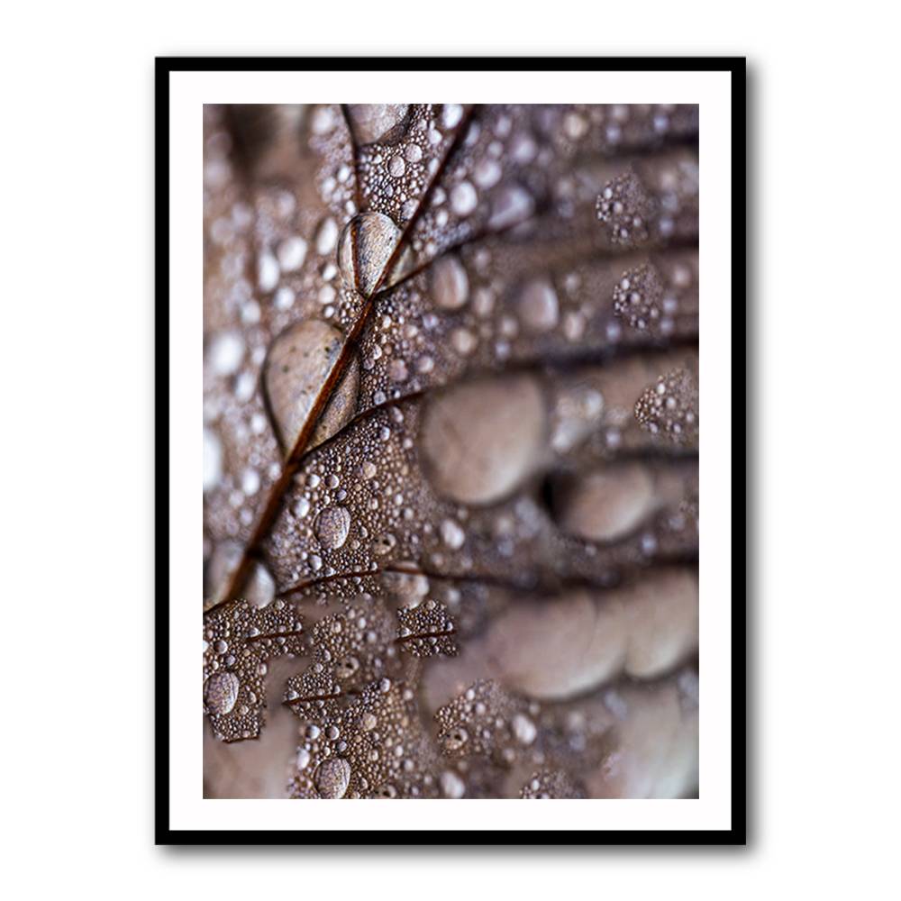 Autumn Rain Wall Art Autumn Rain Wall Art