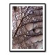 Autumn Rain Wall Art Autumn Rain Wall Art