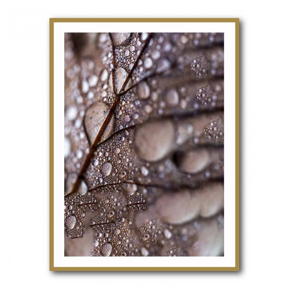 Autumn Rain Wall Art Autumn Rain Wall Art