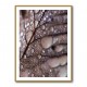 Autumn Rain Wall Art Autumn Rain Wall Art