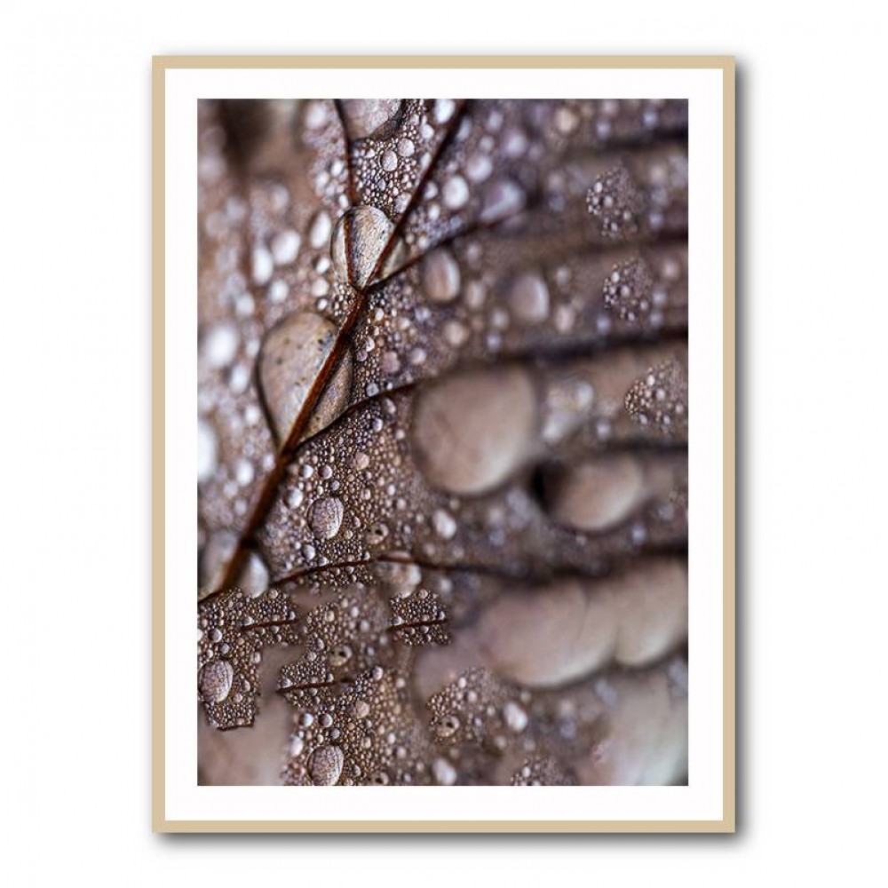 Autumn Rain Wall Art Autumn Rain Wall Art