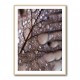 Autumn Rain Wall Art Autumn Rain Wall Art