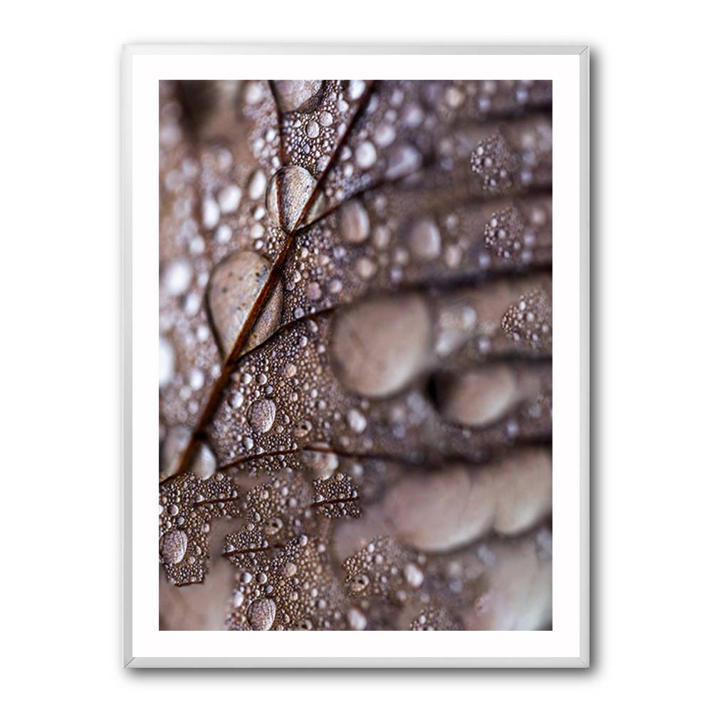 Autumn Rain Wall Art Autumn Rain Wall Art