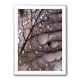Autumn Rain Wall Art Autumn Rain Wall Art