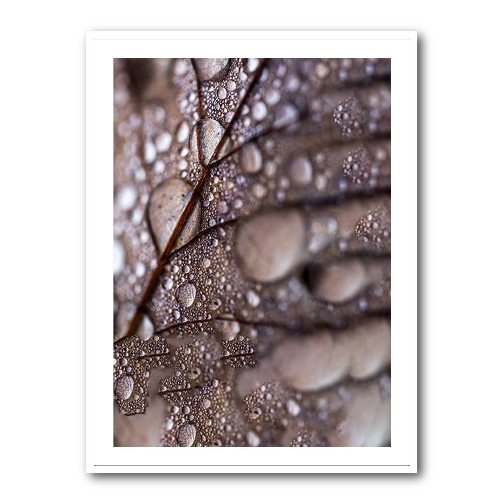 Autumn Rain Wall Art Autumn Rain Wall Art
