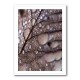 Autumn Rain Wall Art Autumn Rain Wall Art