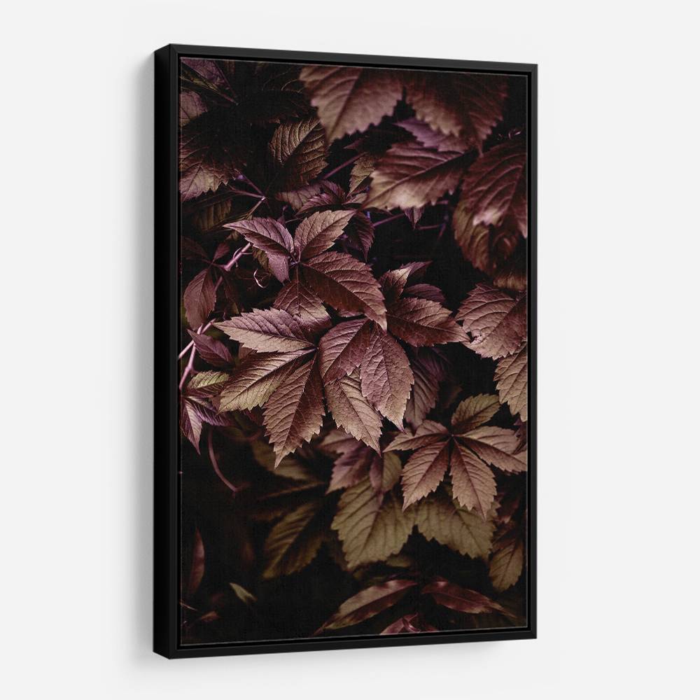 Autumn Leaves 13 Wall Art Autumn Leaves 13 Wall Art