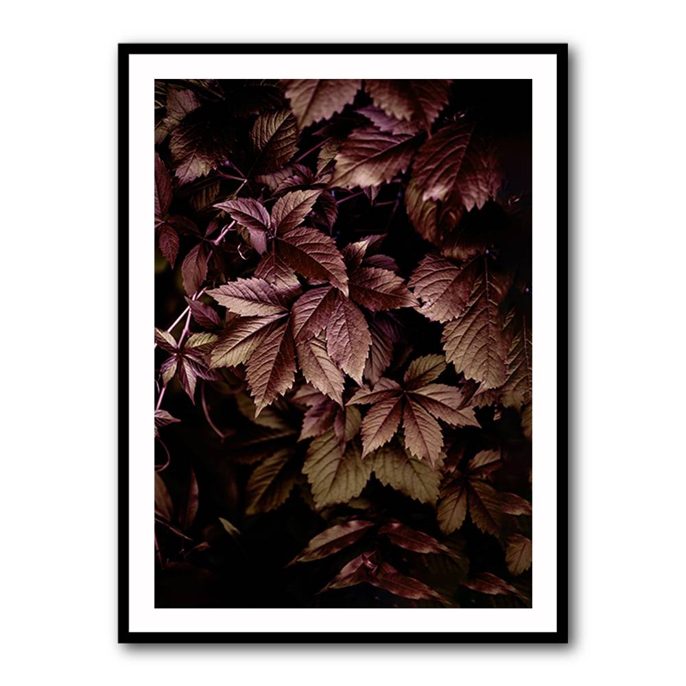 Autumn Leaves 13 Wall Art Autumn Leaves 13 Wall Art