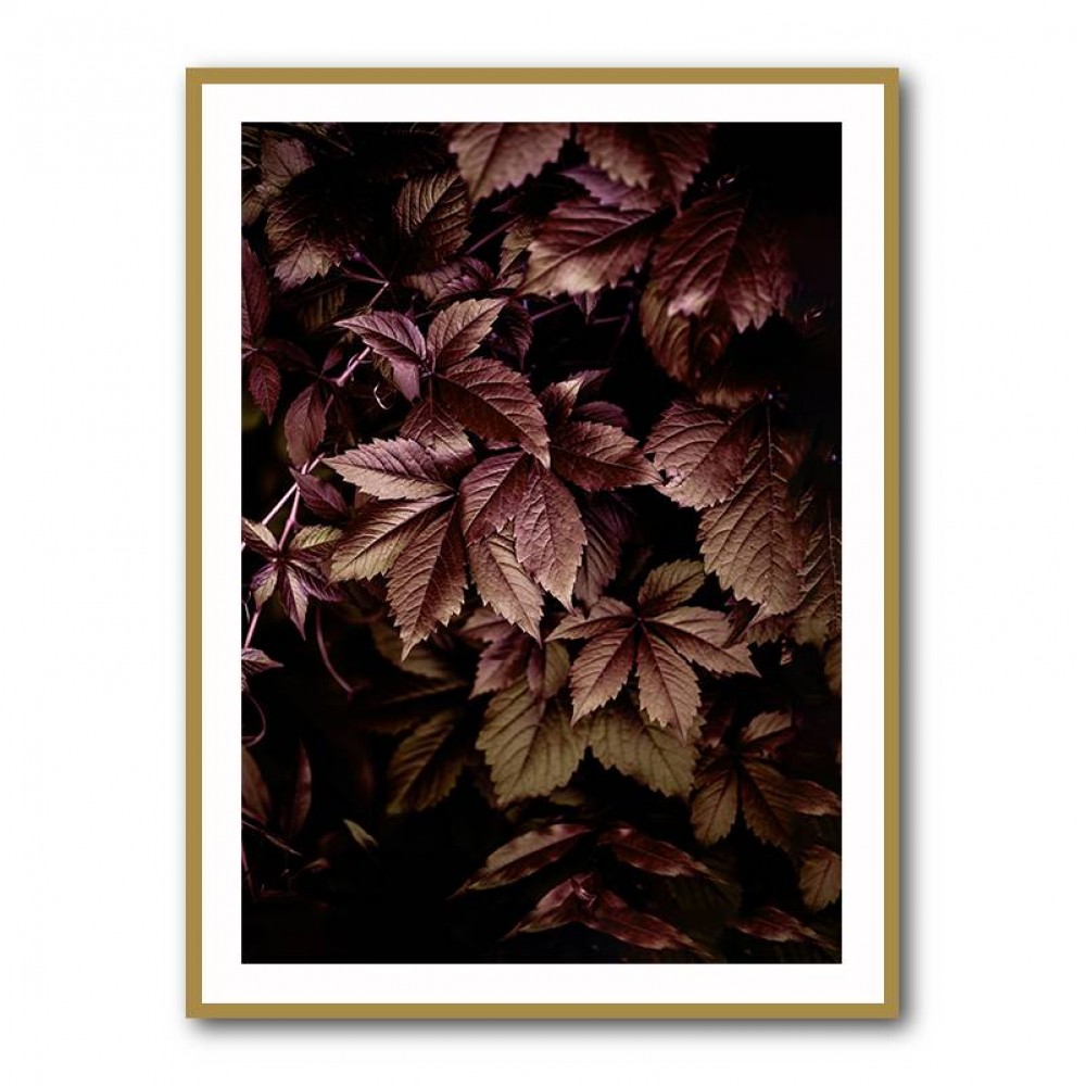 Autumn Leaves 13 Wall Art Autumn Leaves 13 Wall Art