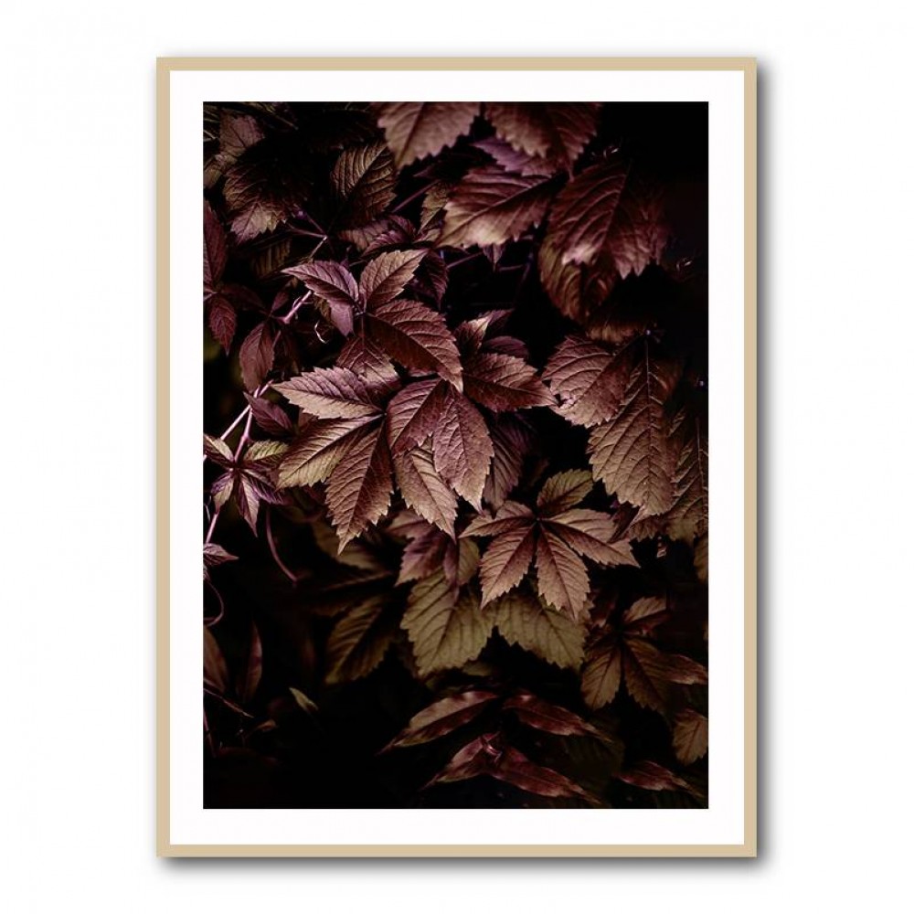 Autumn Leaves 13 Wall Art Autumn Leaves 13 Wall Art