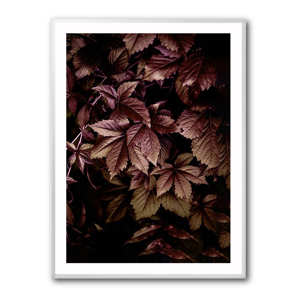 Autumn Leaves 13 Wall Art Autumn Leaves 13 Wall Art