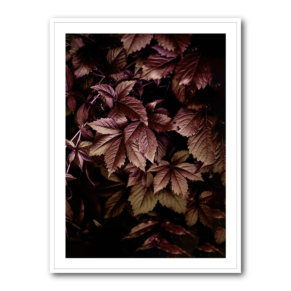 Autumn Leaves 13 Wall Art Autumn Leaves 13 Wall Art