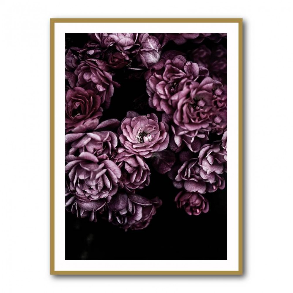Wild Roses Wall Art Wild Roses Wall Art