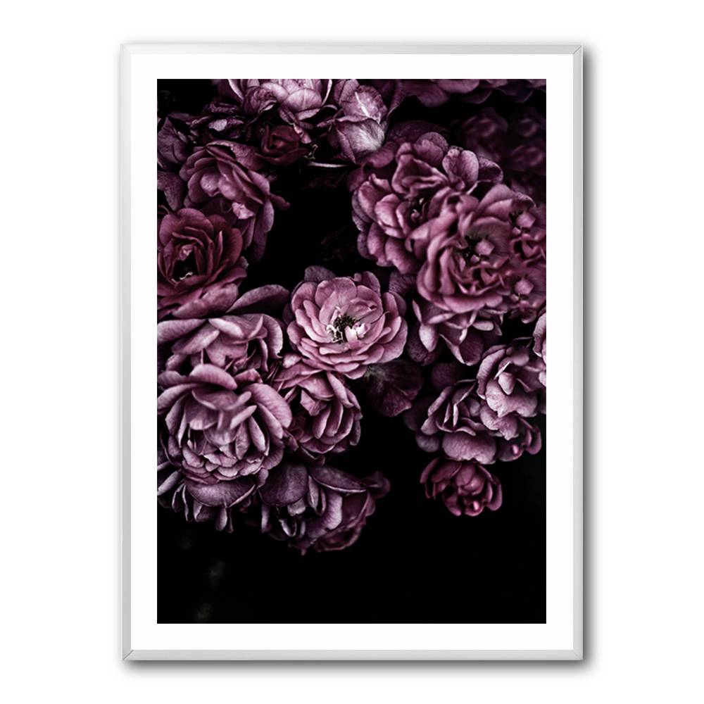Wild Roses Wall Art Wild Roses Wall Art
