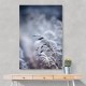Frosty Morning 5 Wall Art Frosty Morning 5 Wall Art