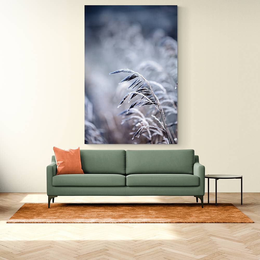 Frosty Morning 5 Wall Art Frosty Morning 5 Wall Art