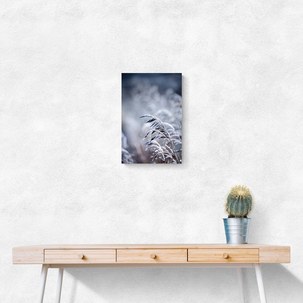 Frosty Morning 5 Wall Art Frosty Morning 5 Wall Art