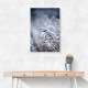 Frosty Morning 5 Wall Art Frosty Morning 5 Wall Art
