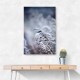 Frosty Morning 5 Wall Art Frosty Morning 5 Wall Art