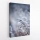 Frosty Morning 5 Wall Art Frosty Morning 5 Wall Art