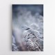 Frosty Morning 5 Wall Art Frosty Morning 5 Wall Art