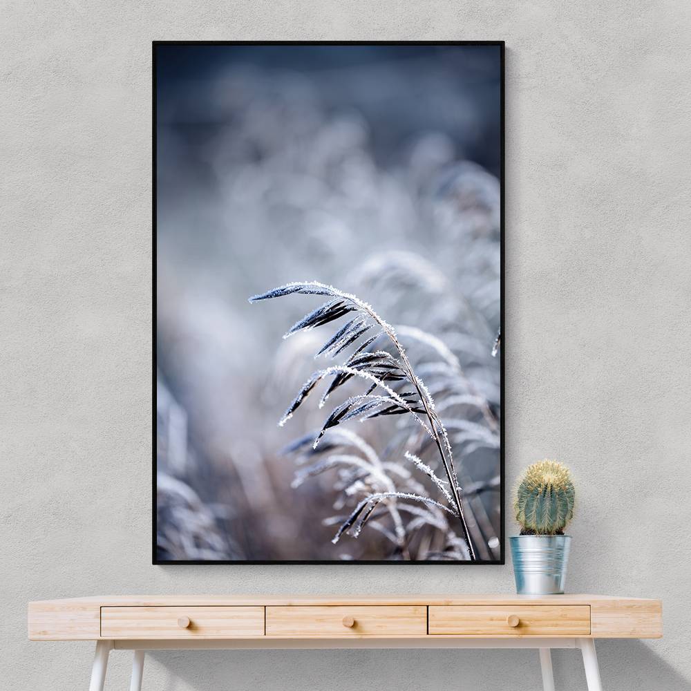 Frosty Morning 5 Wall Art Frosty Morning 5 Wall Art