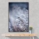 Frosty Morning 5 Wall Art Frosty Morning 5 Wall Art
