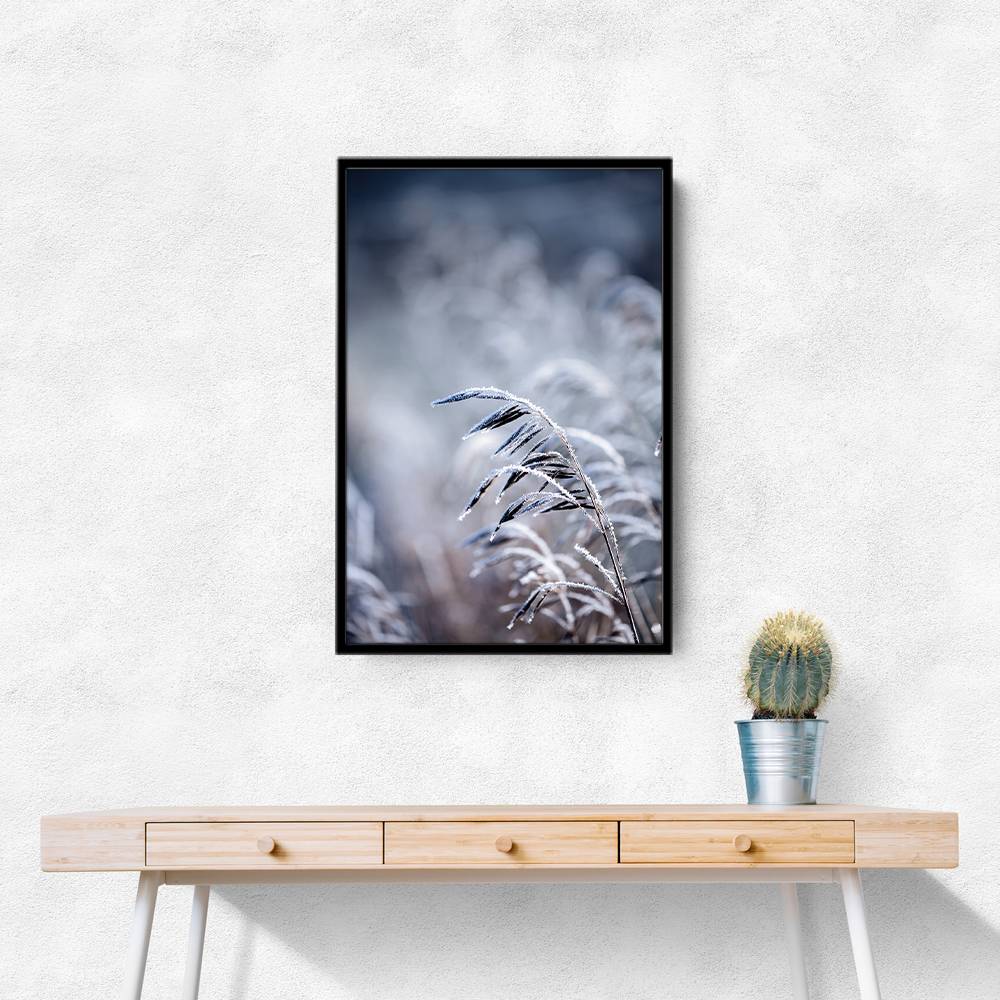 Frosty Morning 5 Wall Art Frosty Morning 5 Wall Art