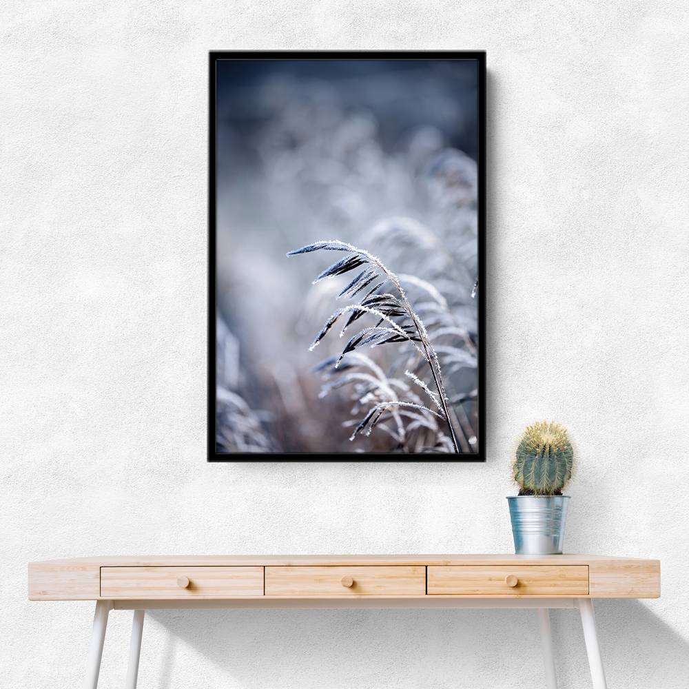 Frosty Morning 5 Wall Art Frosty Morning 5 Wall Art