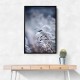 Frosty Morning 5 Wall Art Frosty Morning 5 Wall Art