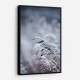 Frosty Morning 5 Wall Art Frosty Morning 5 Wall Art