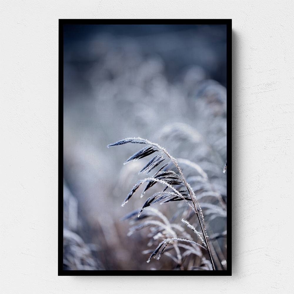 Frosty Morning 5 Wall Art Frosty Morning 5 Wall Art
