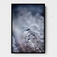 Frosty Morning 5 Wall Art Frosty Morning 5 Wall Art