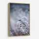 Frosty Morning 5 Wall Art Frosty Morning 5 Wall Art