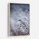Frosty Morning 5 Wall Art Frosty Morning 5 Wall Art