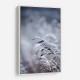Frosty Morning 5 Wall Art Frosty Morning 5 Wall Art