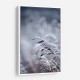 Frosty Morning 5 Wall Art Frosty Morning 5 Wall Art