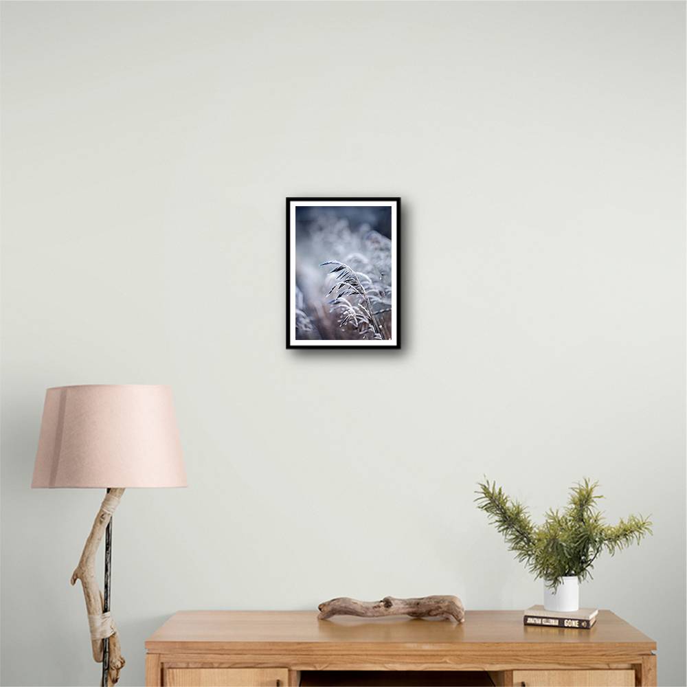 Frosty Morning 5 Wall Art Frosty Morning 5 Wall Art