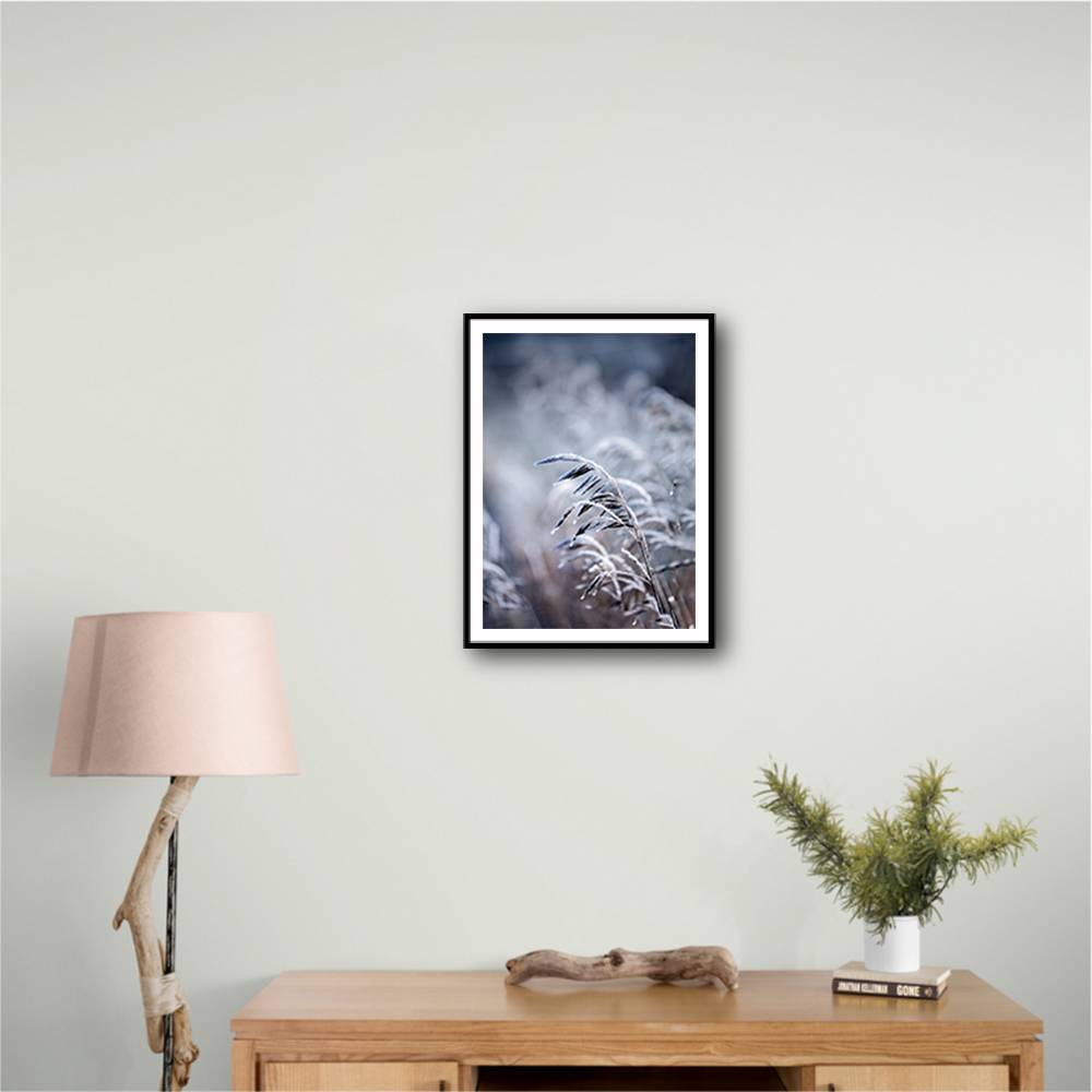 Frosty Morning 5 Wall Art Frosty Morning 5 Wall Art