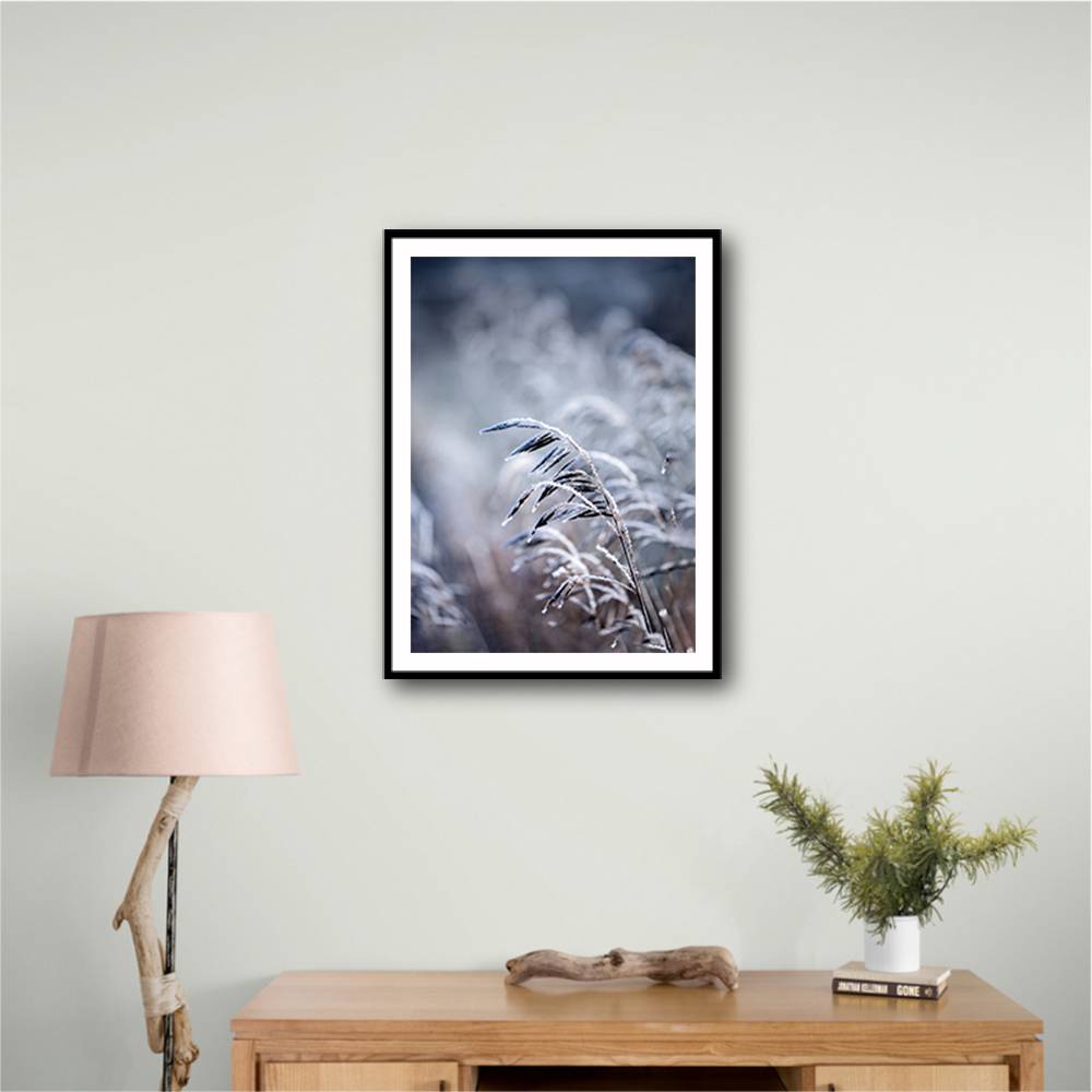 Frosty Morning 5 Wall Art Frosty Morning 5 Wall Art