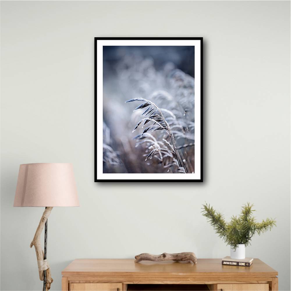 Frosty Morning 5 Wall Art Frosty Morning 5 Wall Art