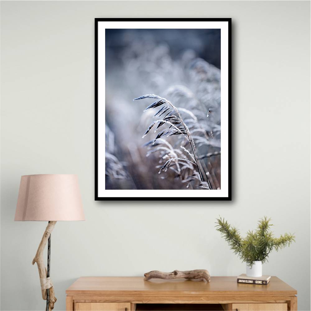 Frosty Morning 5 Wall Art Frosty Morning 5 Wall Art