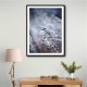 Frosty Morning 5 Wall Art Frosty Morning 5 Wall Art